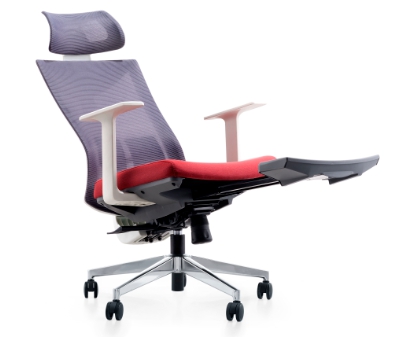 ergonomic office chair _ raye.jpg